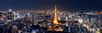 Tokyo et son agglomération se hissent en tête de ce classement, avec pas moins de 37 millions d'habitants. © rabbit75_fot, Adobe Stock